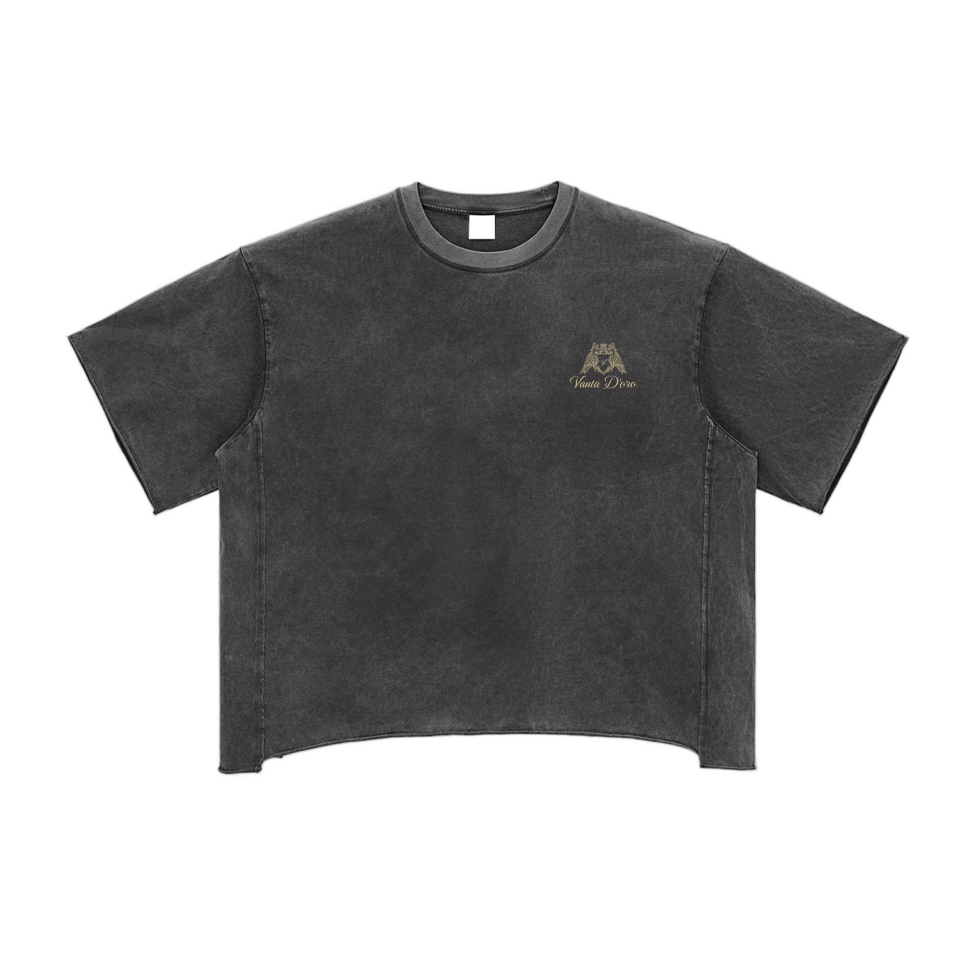 Raw Edge Snow Washed Boxy T-Shirt