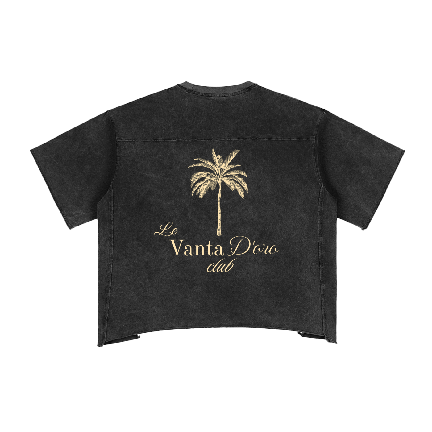 Raw Edge Snow Washed Boxy T-Shirt